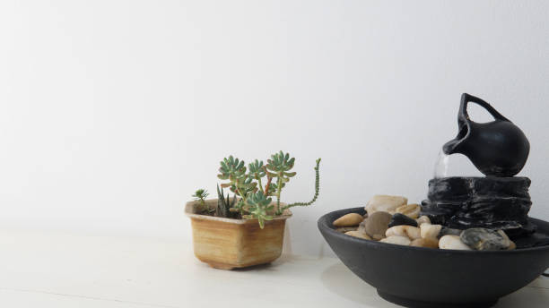 istock Zen water fountain next to a succulent plant 1337699786