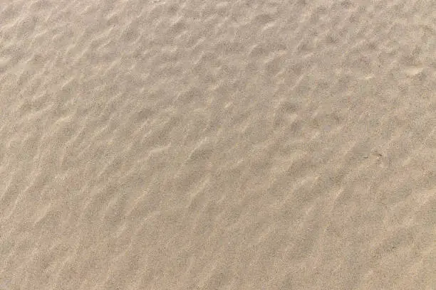 the texture of sand in the form of waves on a river beach