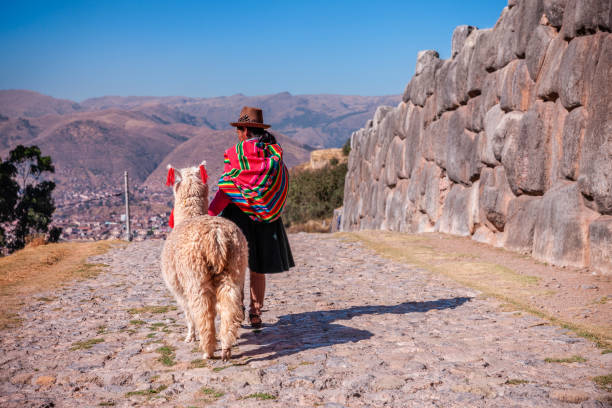 donna peruviana che indossa abiti nazionali che cammina con i lama vicino a cuzco - poncho foto e immagini stock