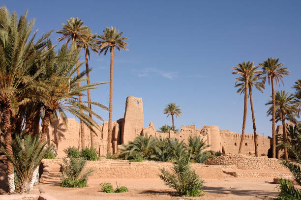 istock Palm grove of  Figuig in Morocco 1337706345