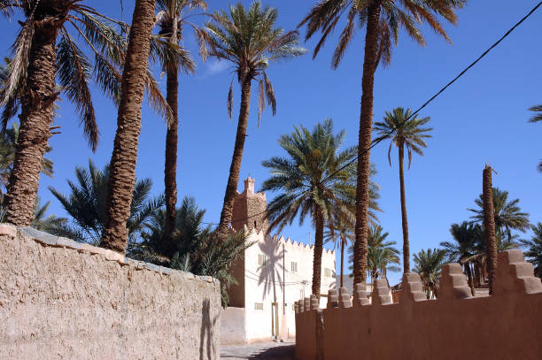 istock Palm grove of  Figuig in Morocco 1337706613