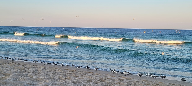 Blue ocean waves with seagulls and sand at seaside Park NJ