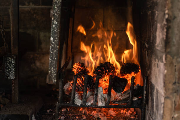 Pine cone and firewood on the barbecue