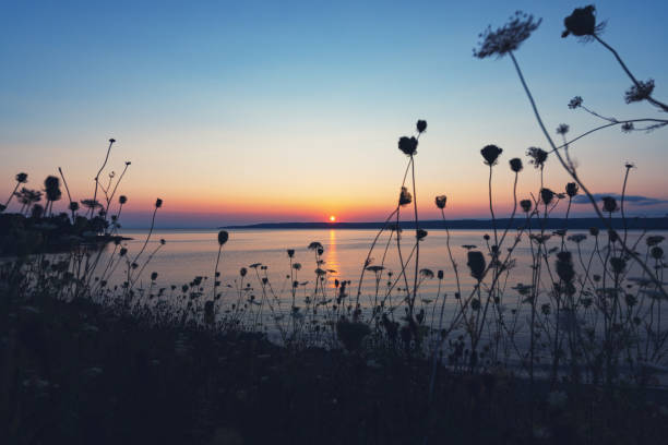 A beautifully still sunset on the Bras D'or Lakes of Cape Breton island.