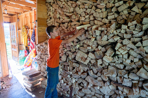 Twelve-year-old boy stacking split wood getting ready for a mountain winter at the Schmid ranch Wilson Mesa near Telluride Colorado in the summertime