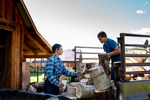 Two brothers stacking firewood preparing for cold temperatures in the wintertime at a ranch near Telluride Western Colorado