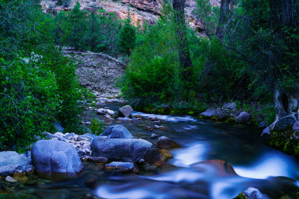 istock Stream Through Canyon in Wilderness Landscape 1337723146