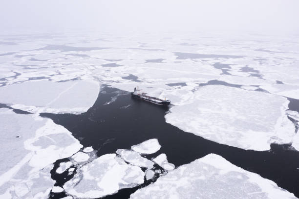 istock The sea vessel is among the ice. 1337731601