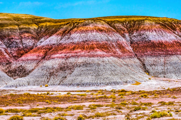 colorato i tepees dipinto deserto petrified forest national park arizona - roccia sedimentaria foto e immagini stock