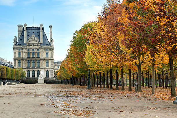Autumn in Paris Avenue of trees in autumn leading to the Musee du Louvre in Paris France musee du louvre stock pictures, royalty-free photos & images