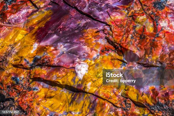 Petrified Wood Rock Abstract Background National Park Arizona Stock Photo - Download Image Now