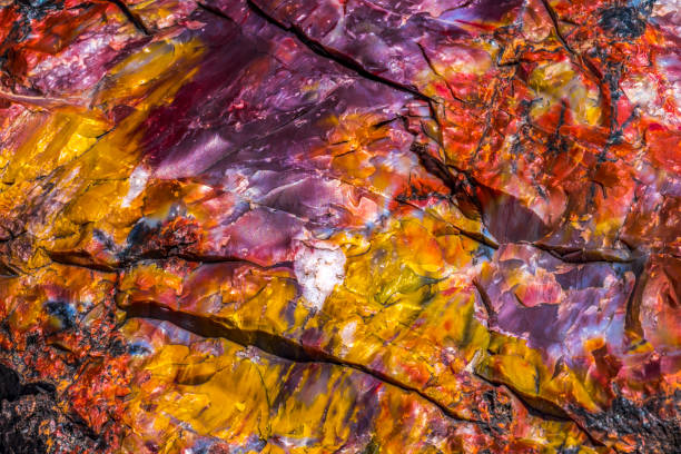 petrificado wood rock abstract background national park arizona - petrified forest national park - fotografias e filmes do acervo