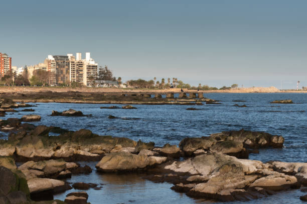 istock pier on the coast of Uruguay on a calm day 1337741421