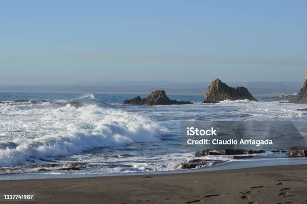Pelluhue Stock Photo - Download Image Now - Beach, Chile, Color Image