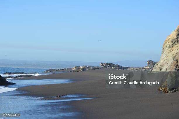 Pelluhue Stock Photo - Download Image Now - Beach, Chile, Color Image