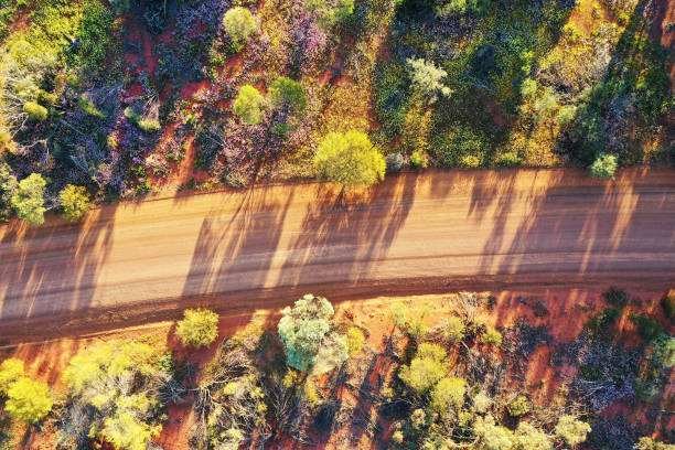 vista del paesaggio aereo del drone di una strada sterrata dell'outback australiano vuota - outback australia australian culture land foto e immagini stock