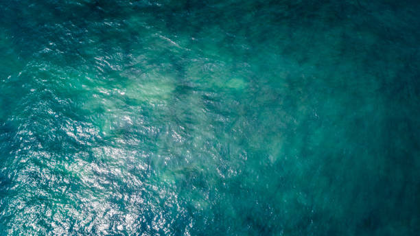 istock Aerial view of beautiful sea wave surface 1337753706