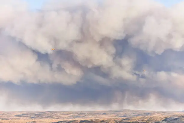 Photo of Hydroplane amidst ash clouds working to extinguish a forest fire. Natural disaster concept