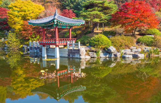 un petit étang à daejeon hyeonchungwon avec de belles feuilles d’automne - bench forest pond autumn photos et images de collection