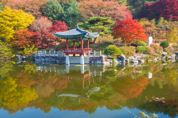 un petit étang à daejeon hyeonchungwon avec de belles feuilles d’automne - bench forest pond autumn photos et images de collection