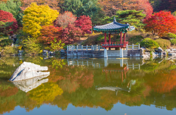 un petit étang à daejeon hyeonchungwon avec de belles feuilles d’automne - bench forest pond autumn photos et images de collection
