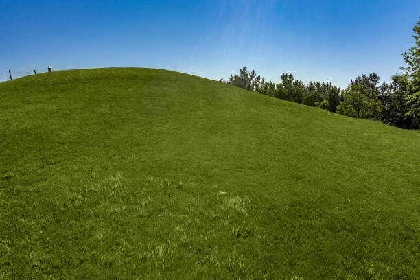 Landscape view of green grass of neatly mowed lawn on hillside with blue cloudless sky background on sunny summer day
