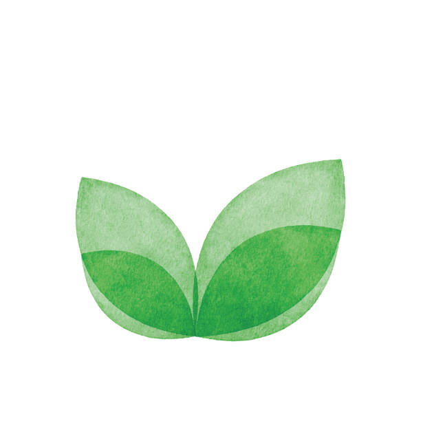 aquarell green sprout logo - new leaves stock-grafiken, -clipart, -cartoons und -symbole