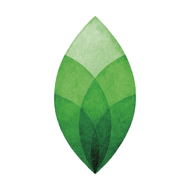 watercolor green leaf logo - growth stock illustrations