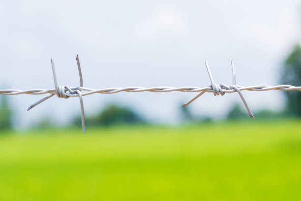 Barbed wire at farm with green background,copy space