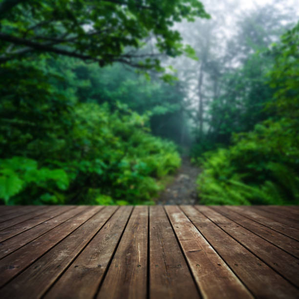 istock Wooden floor 1337758781
