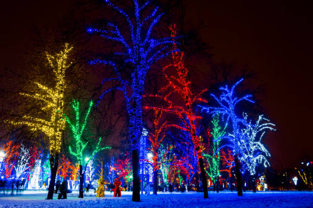 istock new year decorated city park 1337759683