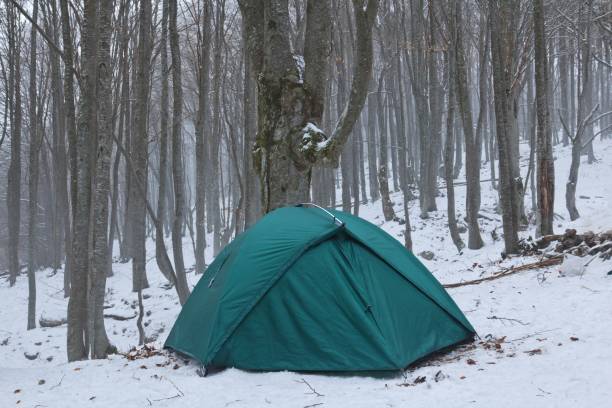 istock green touristic tent ina winter misty forest 1337759694
