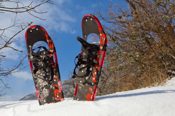 istock pair of snowshoe in a snow 1337760043