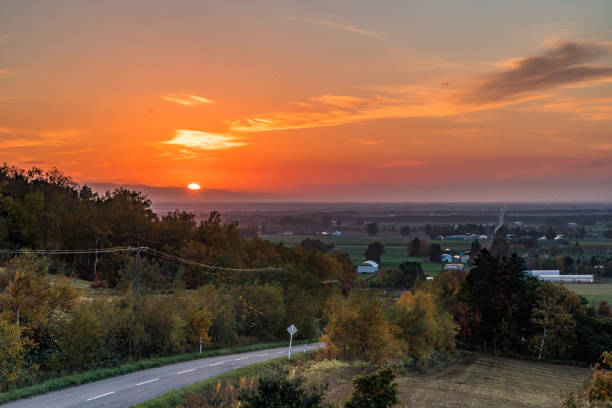 istock Road to the autumn heaven 1337762687
