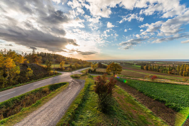 istock Road to the autumn heaven 1337762731