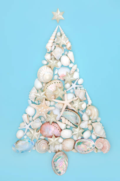 istock Christmas Tree Design with Seashells and Stars 1337764535