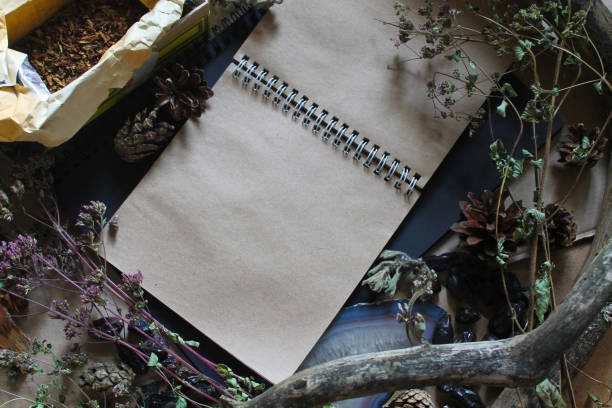 istock Open album. Decoration of a mysterious forest. 1337765825
