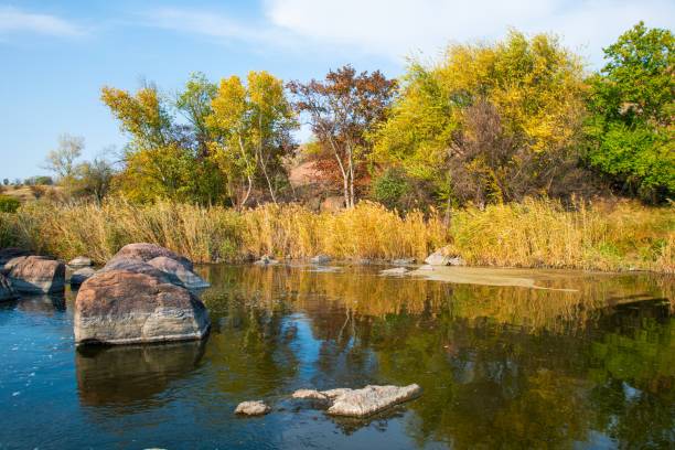istock A fast clean stream runs among smooth wet stones surrounded by tall dry lumps 1337767127