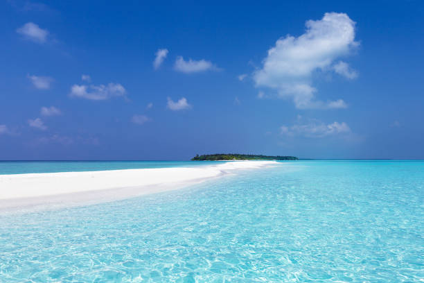 istock Maldivian sandbank in Indian ocean 1337768089