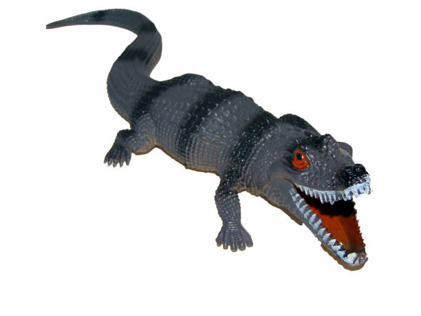 istock toy crocodile isolated on white 1337769811