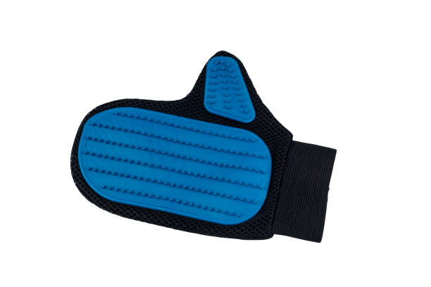 istock Blue rubber pet grooming glove isolated on white background 1337770834
