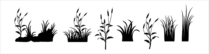 Meadow vector set. Green grass vector silhouette. Grassland vector illustration.