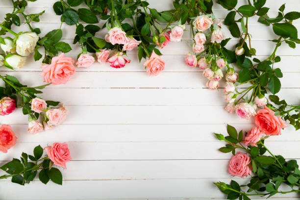 istock Pink roses on a light wooden background 1337774567