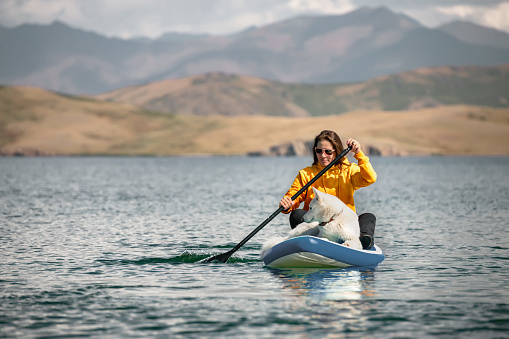 Girl walks on stand up paddle board at mountain lake with white Siberian dog. Travel concept