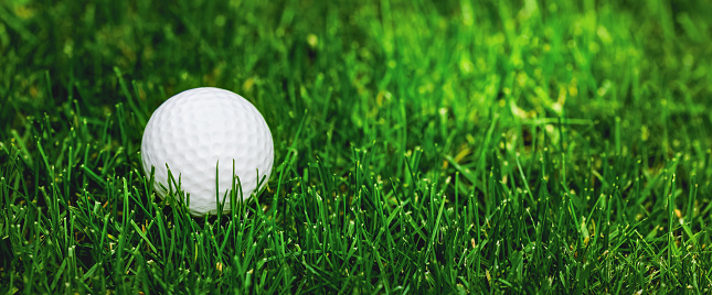 golf ball on green grass. banner copy space
