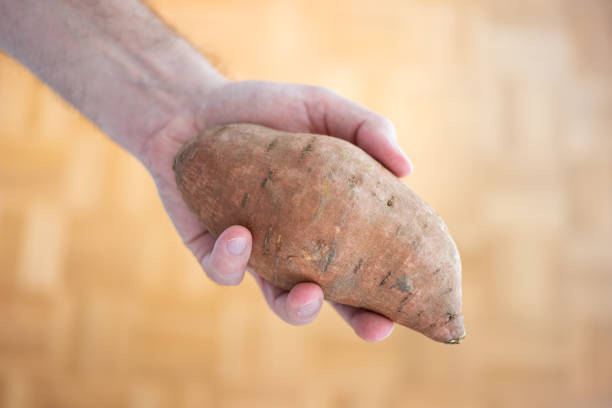 grosse patate douce brune fraîche tenue dans la main de l’homme. plan rapproché, vue de dessus, arrière-plan brun défocalé - root vegetable raw potato human skin root photos et images de collection