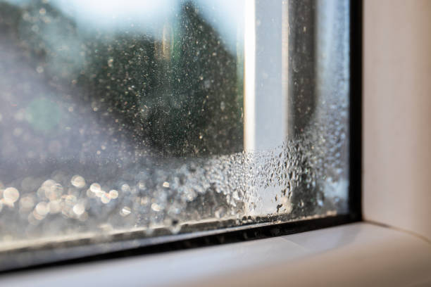 istock Water condensate on a white plastic window. Mold and energy efficiency 1337779633