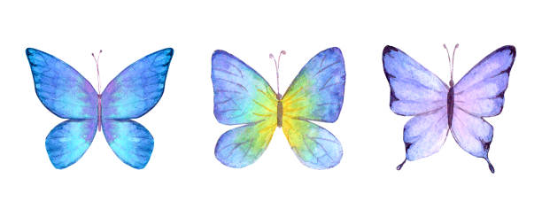 акварельный ботанический летний набор разноцветных разноцветных бабочек - spring abstract insect dreams stock illustrations