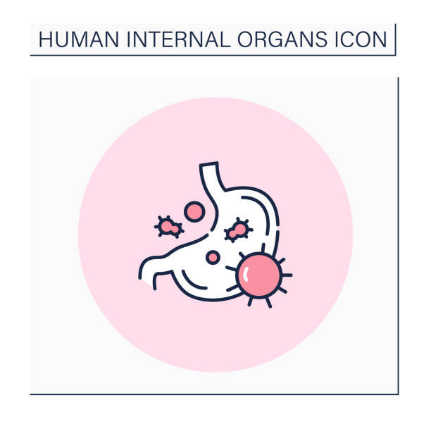 Human internal organs col solo Stomach color icon.Gastric. Stomach disease. Gastroenteritis inflammatory process. Digestive organ. Human internal organs concept.Isolated vector illustration gastroenteritis stock illustrations