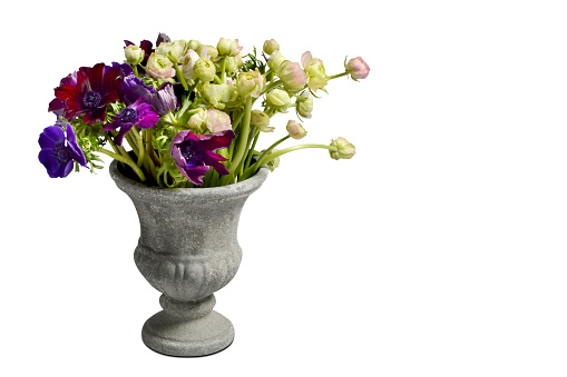 A vase of flowers (Clipping Path) on the white background with copy space